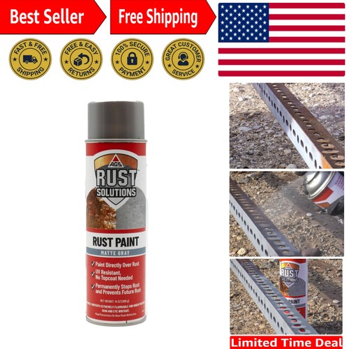 Protective 14oz rust - 14oz, spray